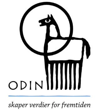 Odin logo 2